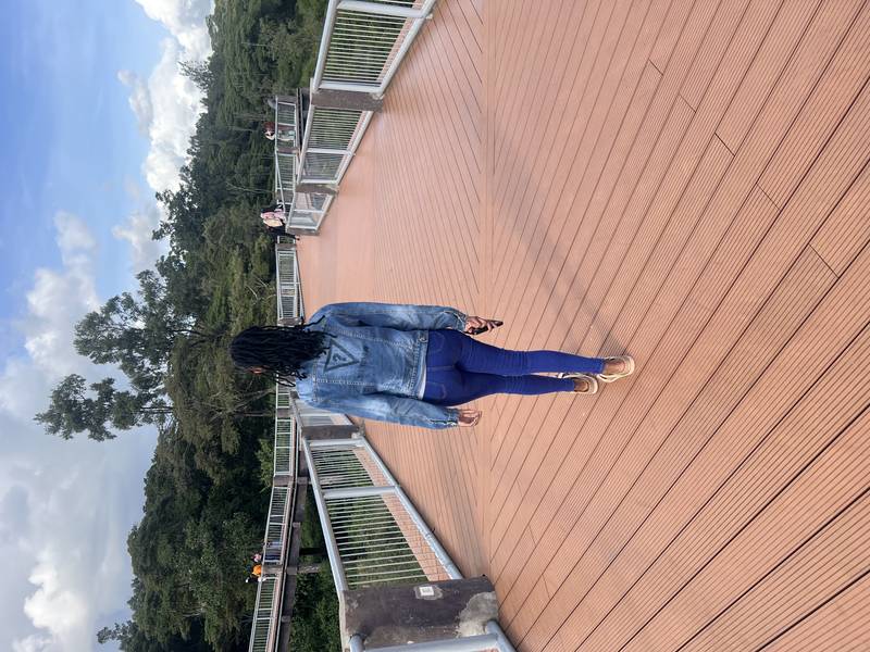 Annie 20 - ICT CONSULTANT in Remote