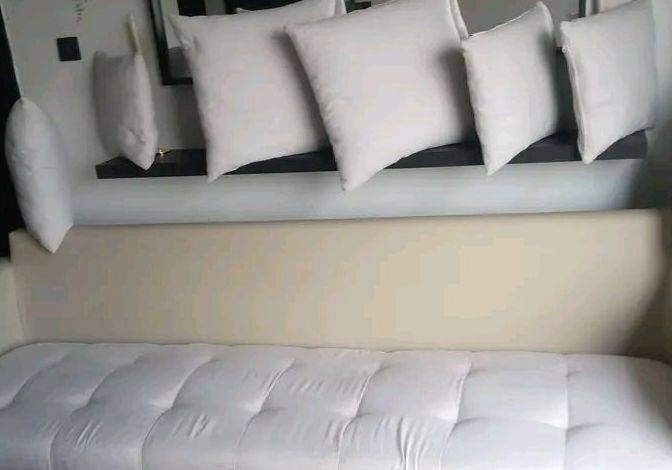 Dannexx cleaners - Cleaner/Laundry in Nairobi & it environment